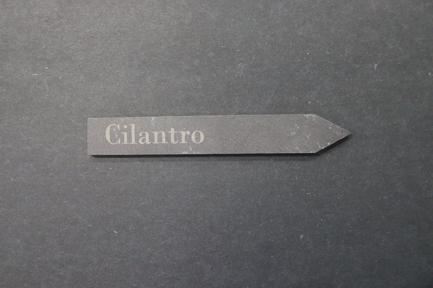 Garden Stake - Rect/Cilantro