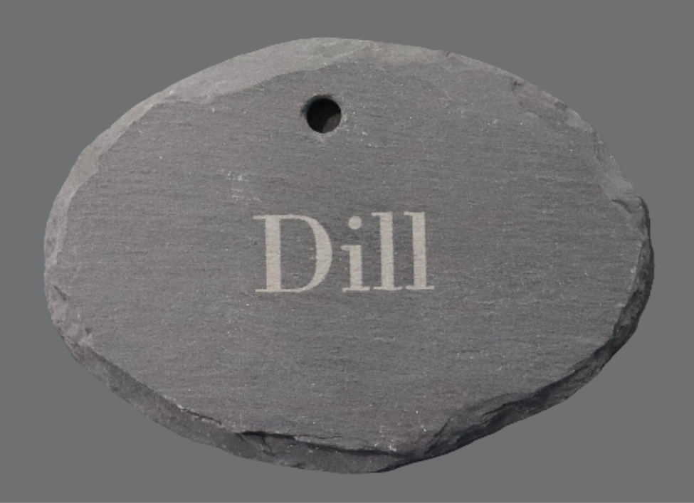 Garden Stake - Oval/Dill
