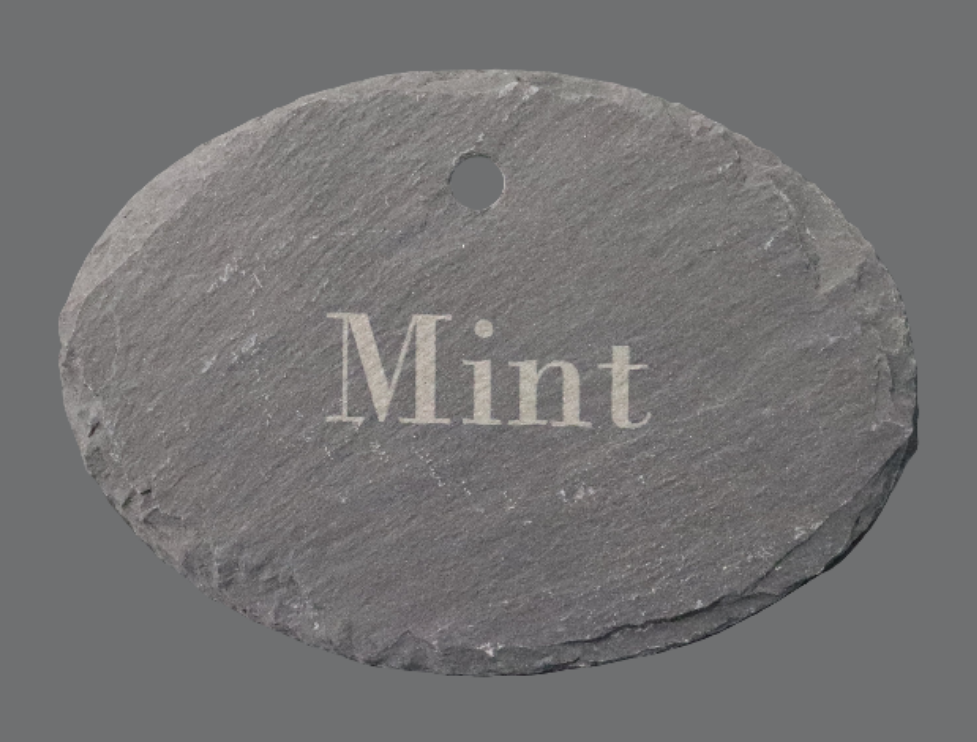 Garden Stake - Oval/Mint
