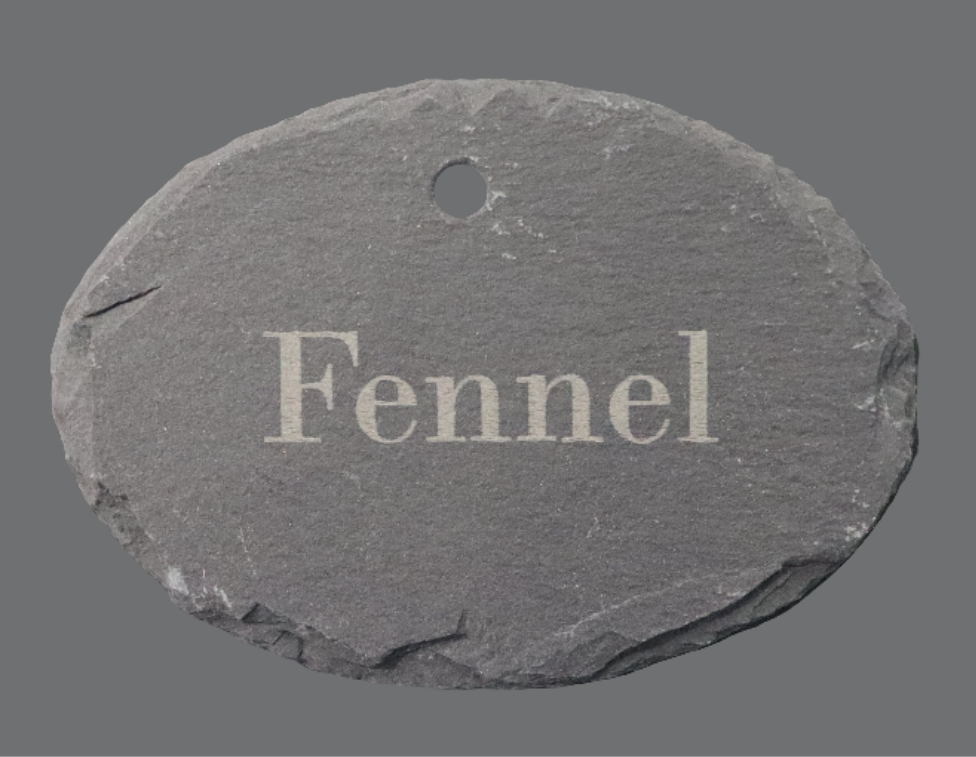 Garden Stake - Oval/Fennel