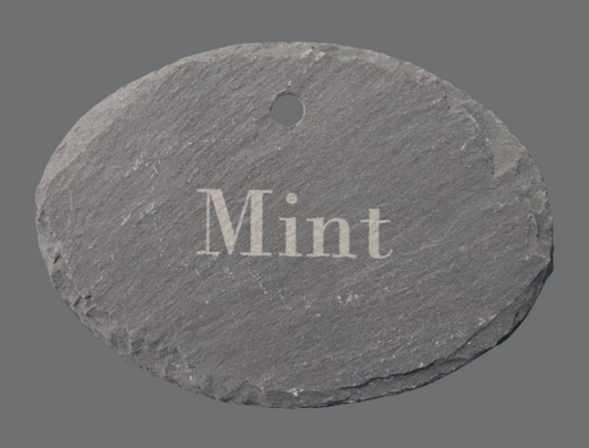 Garden Stake - Oval/Mint